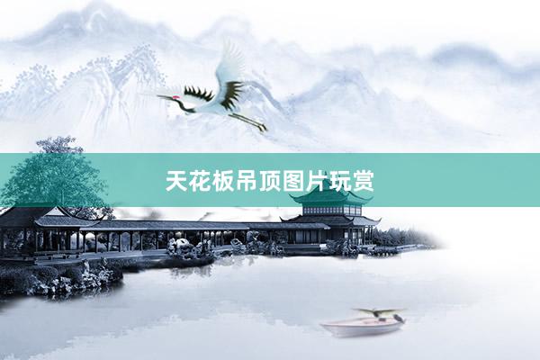 天花板吊顶图片玩赏