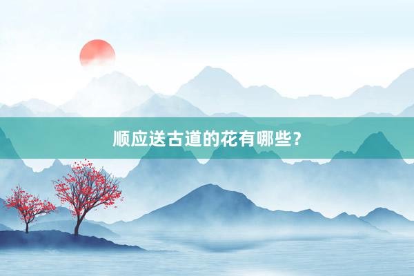 顺应送古道的花有哪些？