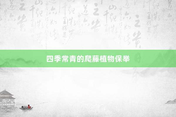 四季常青的爬藤植物保举