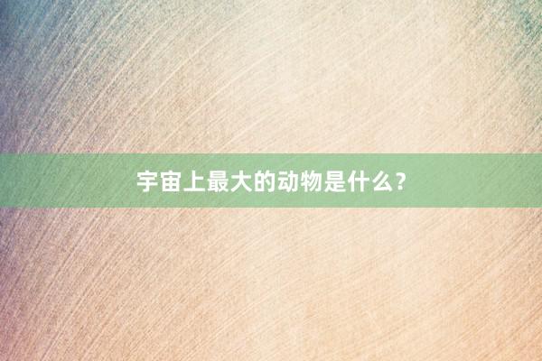 宇宙上最大的动物是什么？