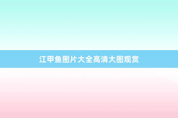 江甲鱼图片大全高清大图观赏